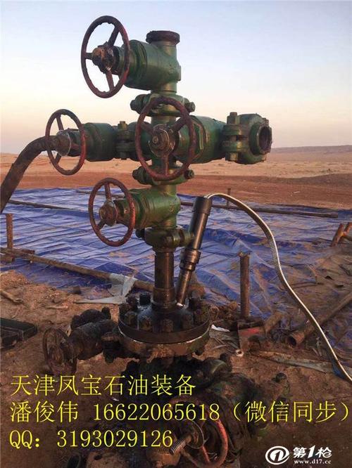 第一枪 产品库 行业专用设备 石油钻采机械 采油采气工具 天津凤宝-电